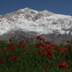 mountains on the pamir