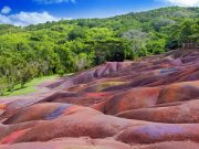 Black River Gorges National Park