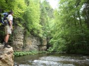 Black River Gorges National Park