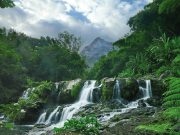 منطقه رودخانه سیاه موریس