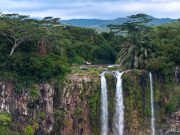 Black River Gorges National Park