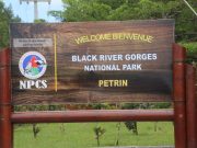 Black River Gorges National Park