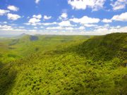 Black River Gorges National Park