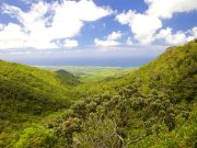 Black River Gorges National Park