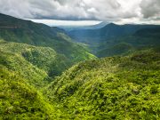 Black River Gorges National Park
