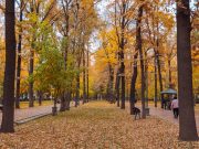 طبیعت بیشکک
