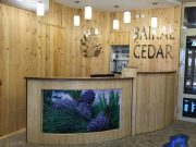 Guesthouse BAIKAL CEDAR
