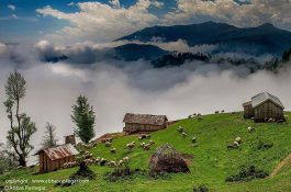 تور گیلان گردی تابستان 96