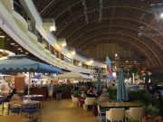 Paradise Island Water Park