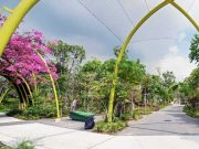 World of Plants